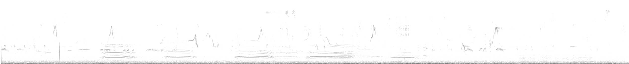 Синегрудый малюр - ML436400201