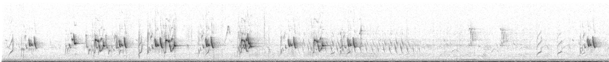 Méliphage festonné - ML436400531