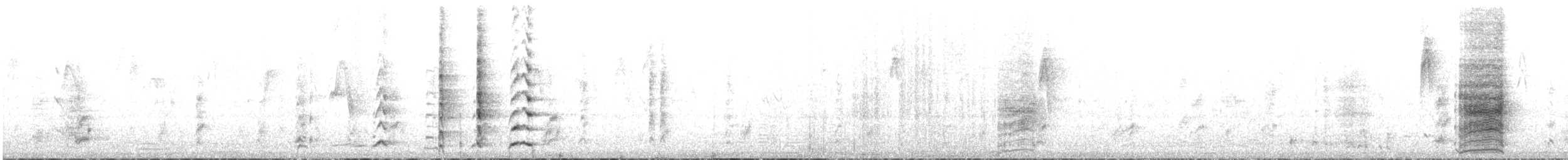 Темнозобый серёжкоух - ML436406901