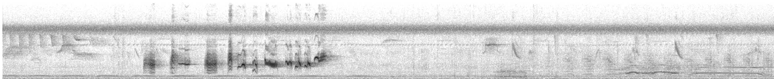 Saipan Reed Warbler - ML436421781