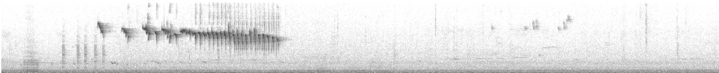 Синегрудый малюр - ML436434331