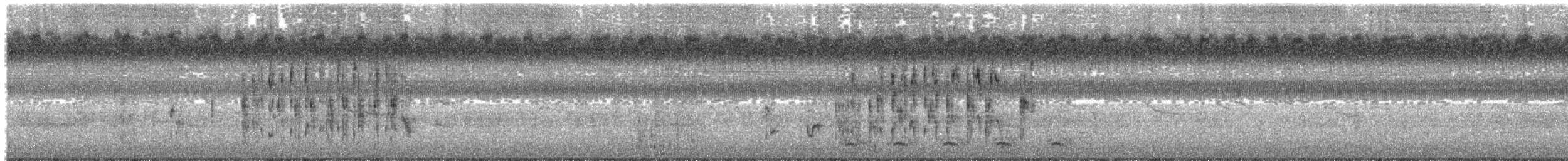 Northern House Wren - ML436437941