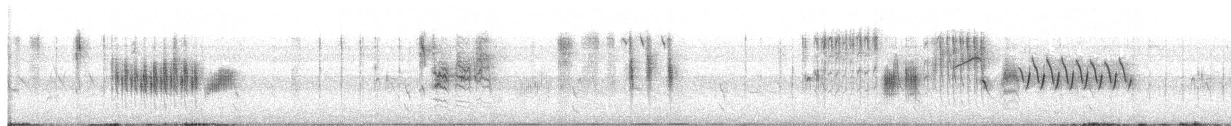 Cucarachero Sabanero (grupo elegans) - ML436445081