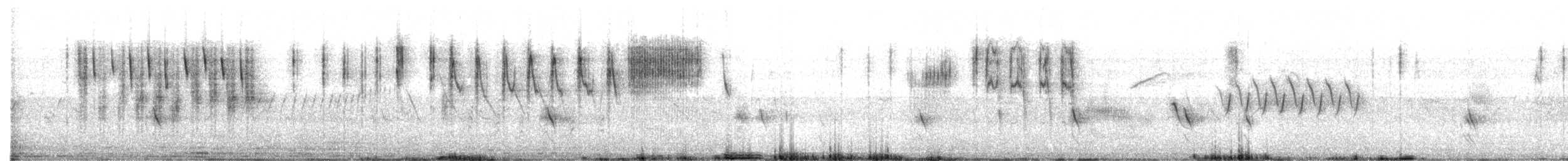Grass Wren (Northern) - ML436445321