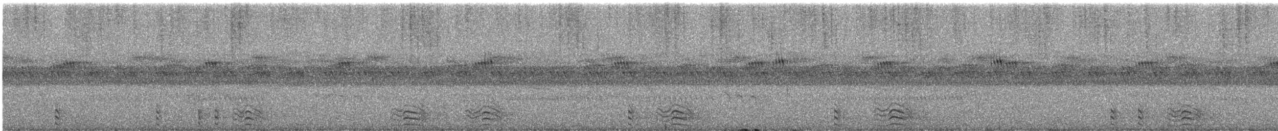 Racket-tailed Roller - ML436489401