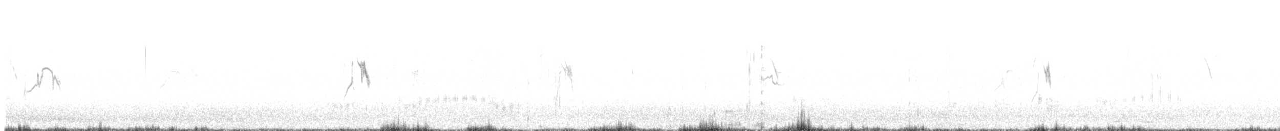 gulerle (iberiae) - ML436522131