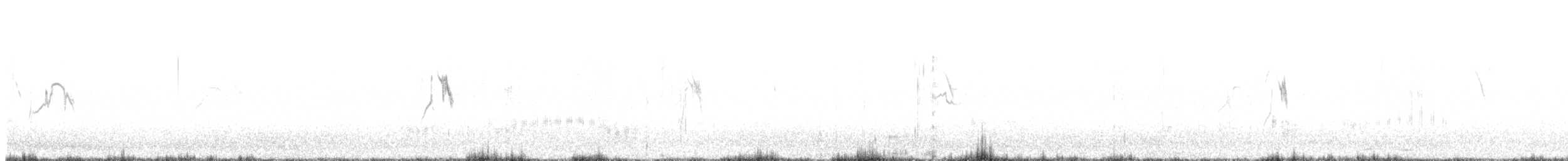 Larre-buztanikara (iberiae) - ML436522131
