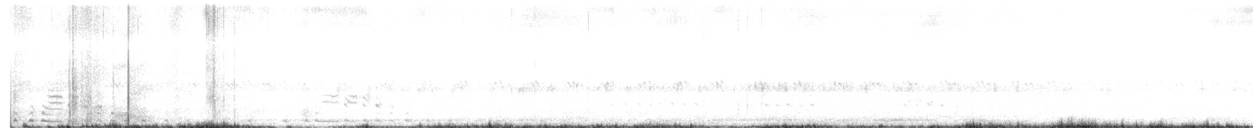 Texasnachtschwalbe - ML436530061