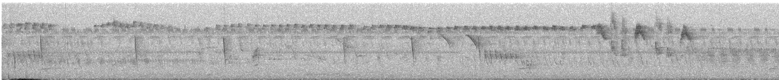 hvitstjertelminia - ML436540251