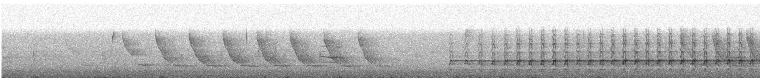 datel zlatý - ML436605101