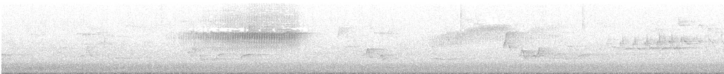 Paruline vermivore - ML436606901