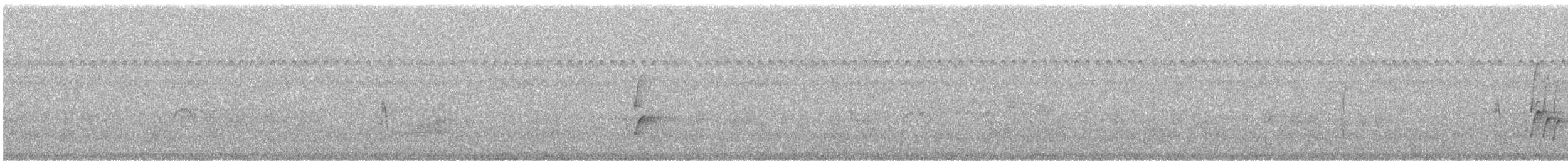 Пестрогрудый тоди-тиранн - ML436666331