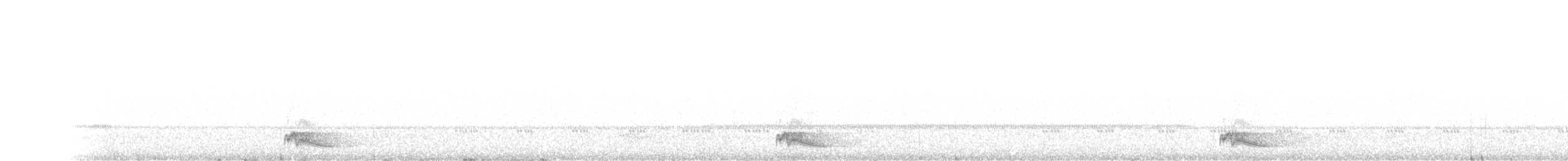 Ohrennachtschwalbe - ML436678221