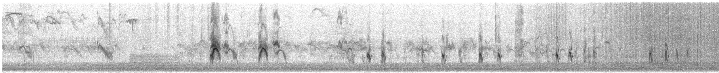 Schwarzstirn-Schneegimpel - ML436729371