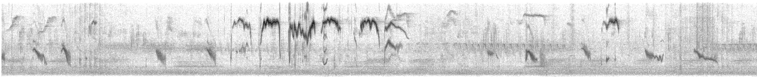 Schwarzstirn-Schneegimpel - ML436729701
