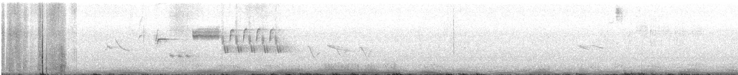 Northern House Wren - ML436732071