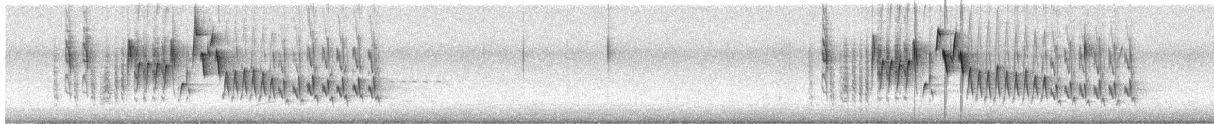 Northern House Wren - ML436779461