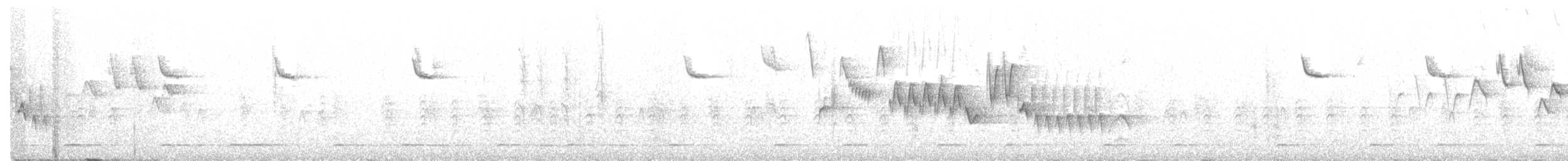 Сичик-горобець гірський (підвид gnoma) - ML436834851