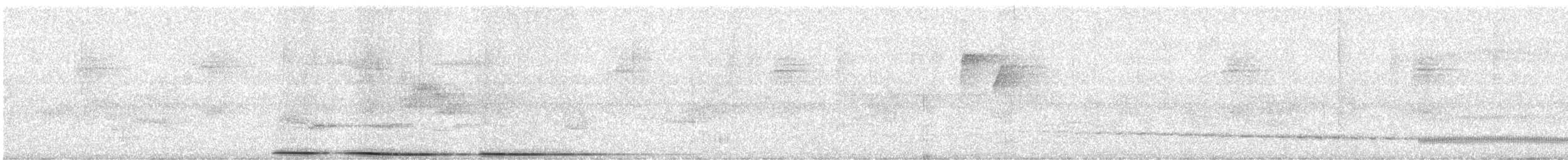 holub karibský - ML436862001