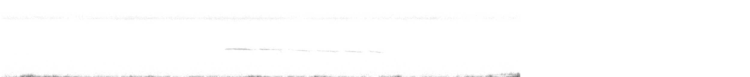Тиранчик-тонкодзьоб північний - ML436912531