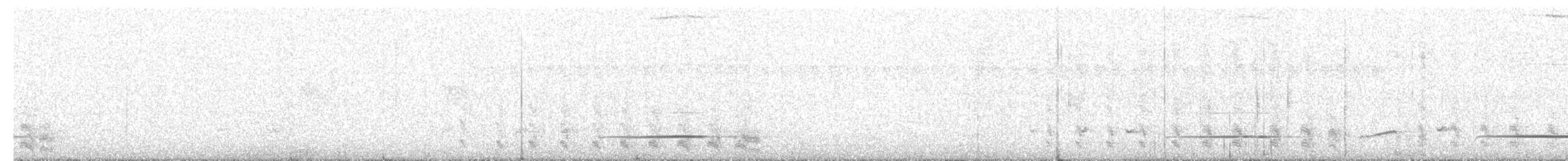Kahverengi İlladopsis - ML436925611
