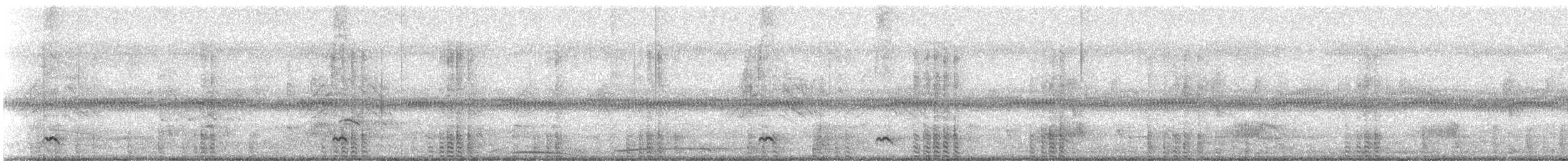 Northern Pintail - ML436934771