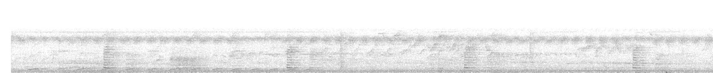 White-eared Brown-Dove (Buff-eared) - ML436935991