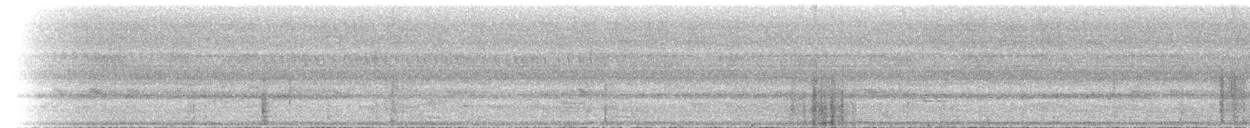 White-necked Rockfowl - ML436983161