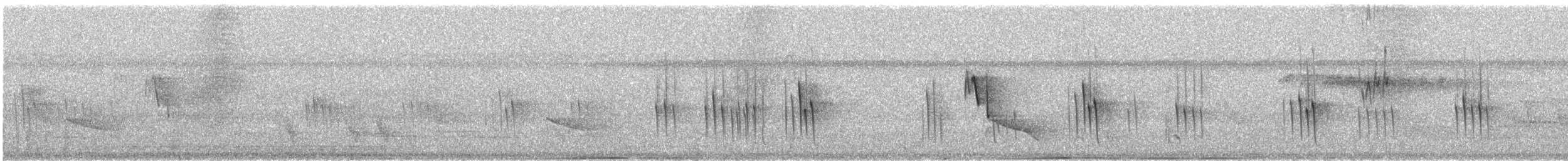 Weißbandschwalbe - ML437008991