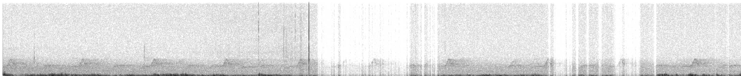 Schwarzkehl-Nachtschwalbe - ML437032881
