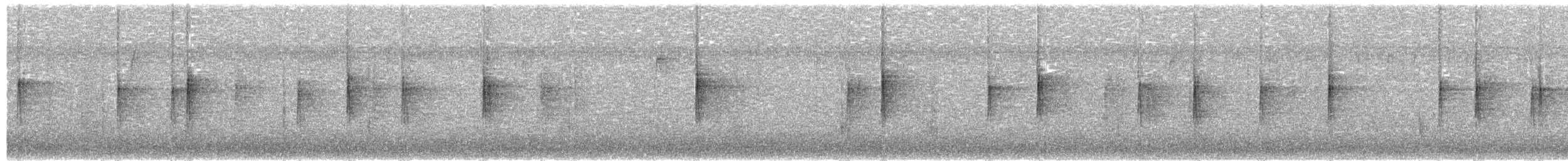 キヅタアメリカムシクイ（coronata） - ML43715291