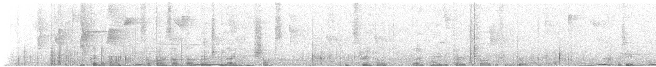 holub parukový - ML437184881