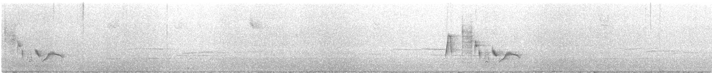 Viréo aux yeux blancs - ML437194421