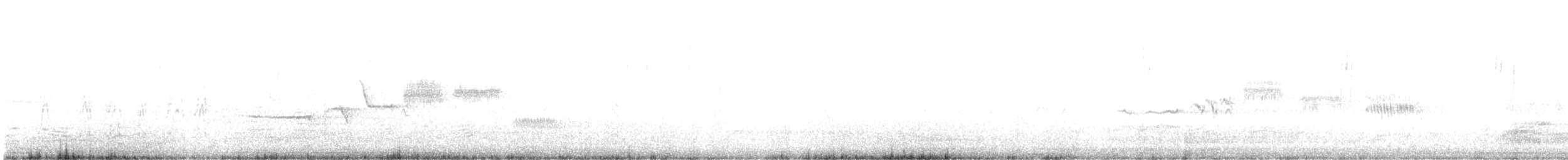 Bruant à couronne blanche (gambelii) - ML437196951