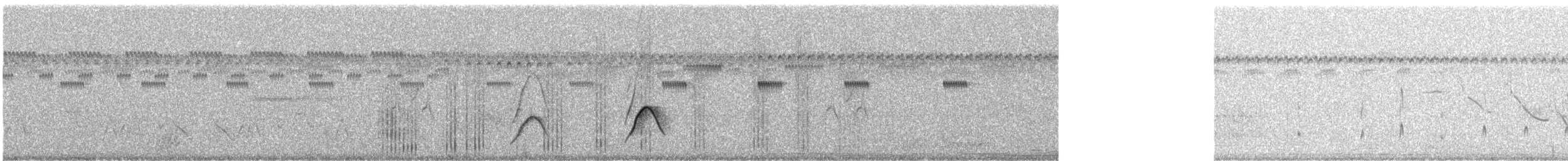 Streifenkinn-Grastyrann - ML437202521