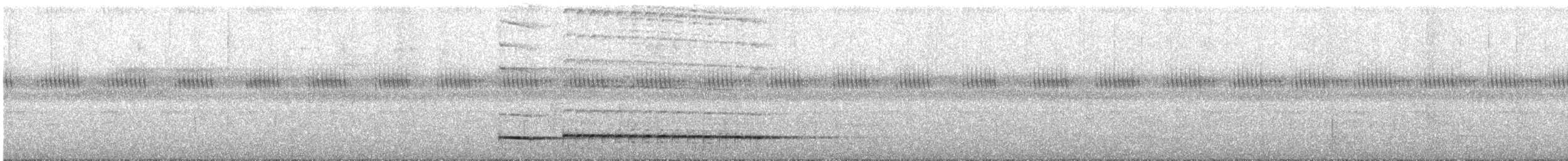 Graubrust-Ameisendrossel - ML437244341