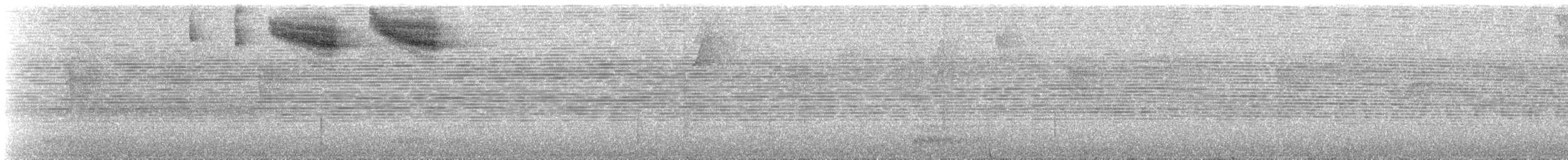 Pectoral Sparrow - ML437294771