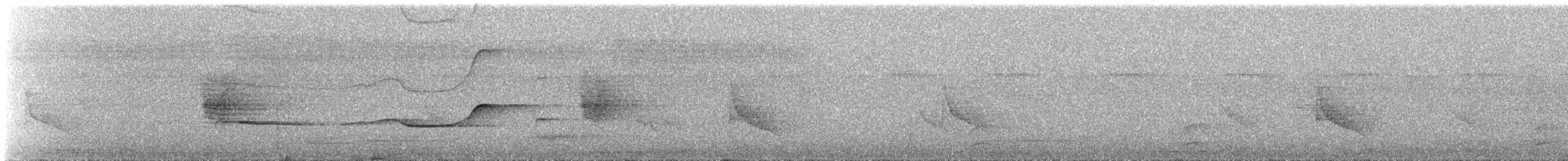 Olivaceous Schiffornis - ML437296461