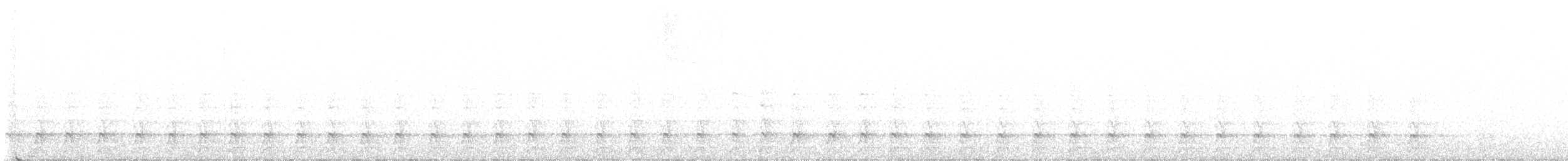 hvitbrynsvartspett - ML437299621