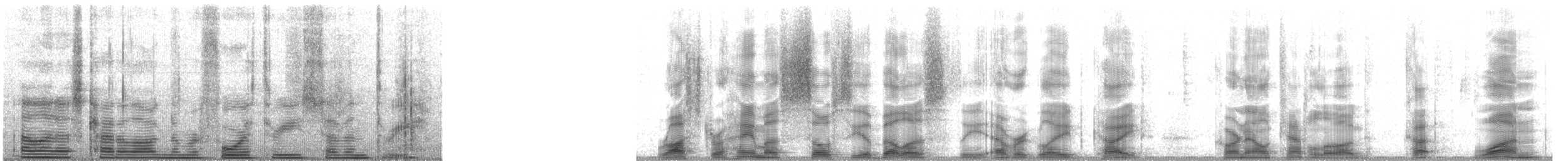 Коршун-слизнеед - ML4373