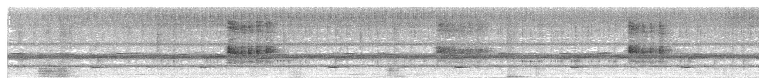 Antillennachtschwalbe - ML437303421