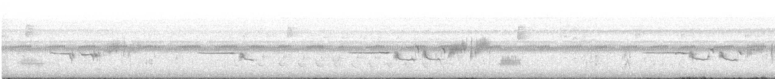 White-crowned Sparrow - ML437315161