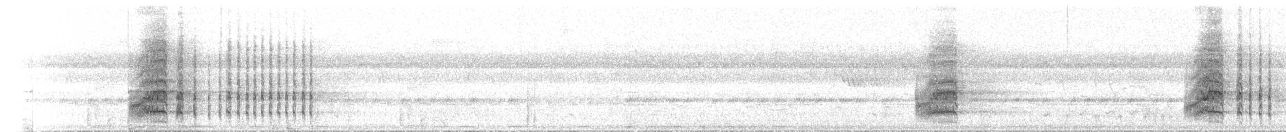 Синегорлый широкорот - ML437372431