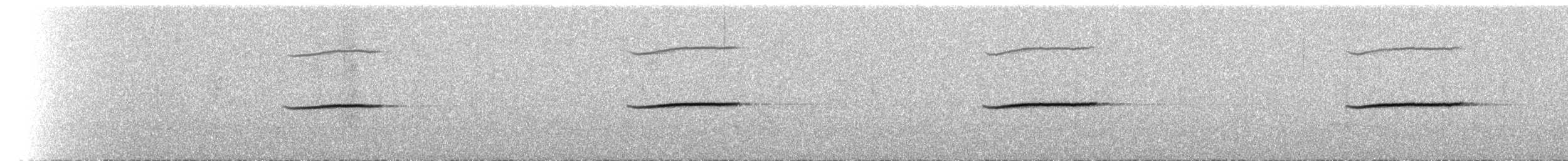 Band-winged Nightjar (Tepui) - ML437449901