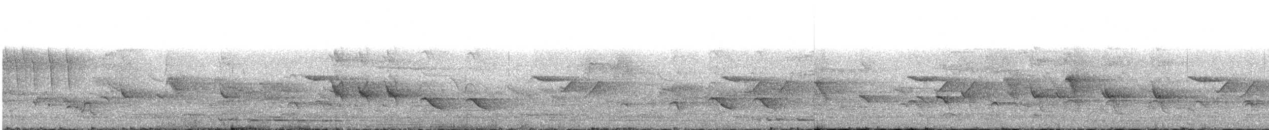 インドマミジロマルハシ - ML437463661