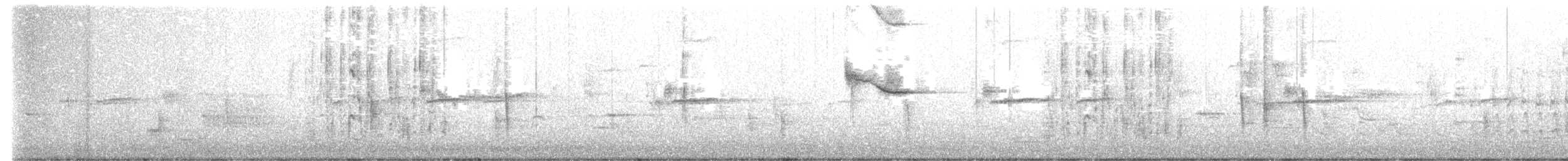 クロムクドリモドキ - ML437468231