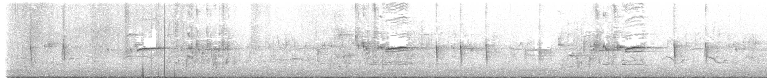 クロムクドリモドキ - ML437468341