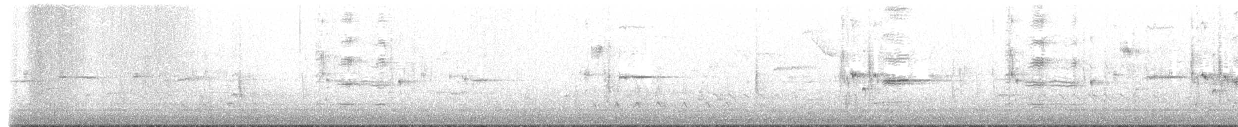 クロムクドリモドキ - ML437468431