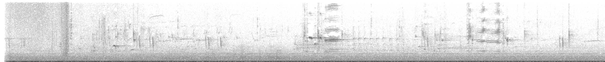 クロムクドリモドキ - ML437468531