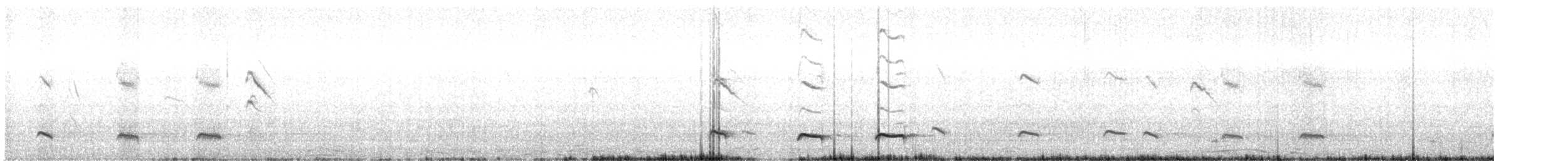 Tawny Antpitta - ML437472561